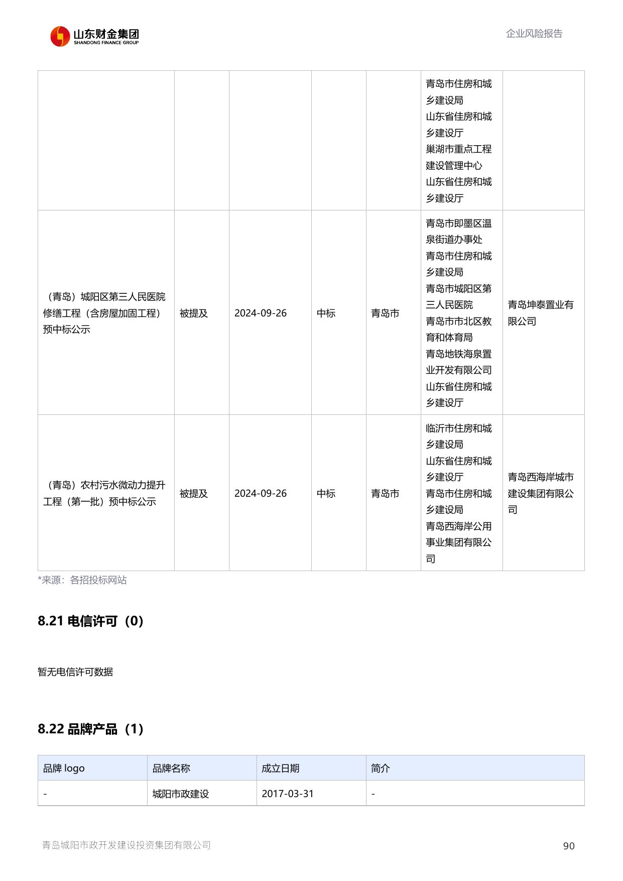 评估报告第 91 页